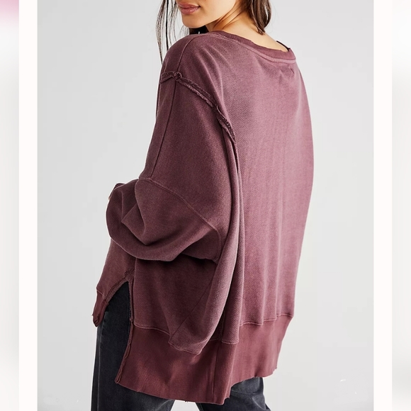 NWT CAMDEN FREE PEOPLE Brandywine OVERSIZED PULLOVER Sweatshirt We the Free - Picture 4 of 12
